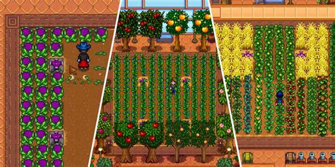 best greenhouse plants stardew|best regrowing plant stardew.